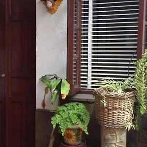 Don Felipe , Guadalajara México